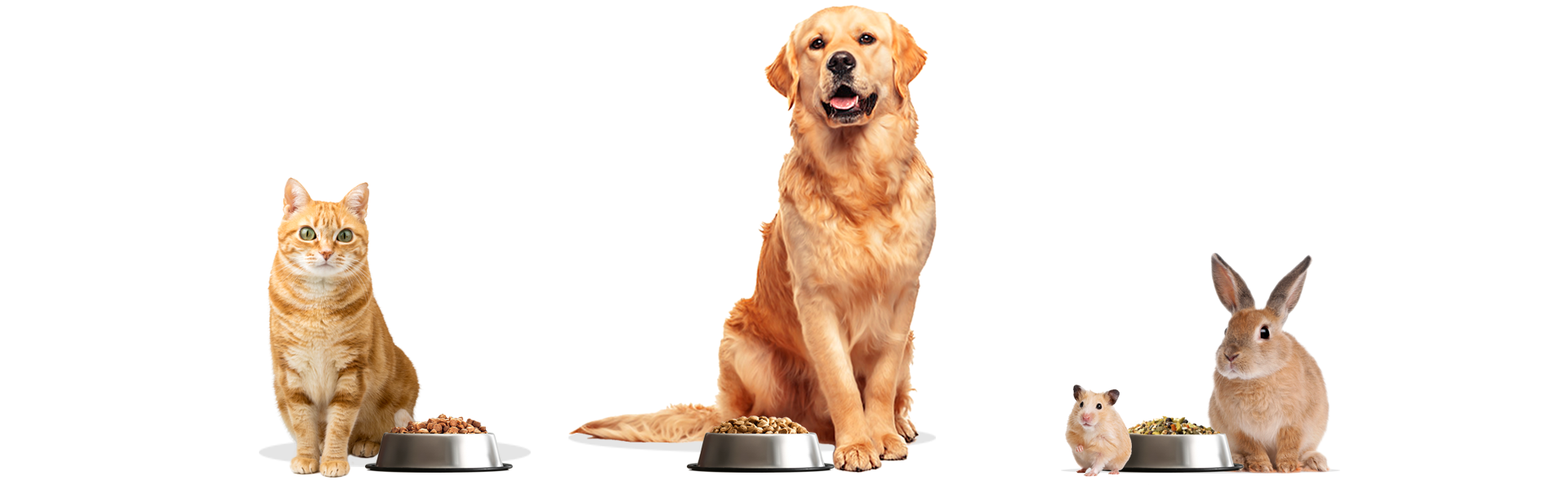 Pet Categories - Best In Show - Best Pet Food For Your Pet