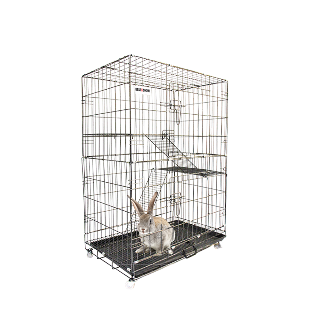 Produk - 554 - Best In Show - Best Pet Food For Your Pet